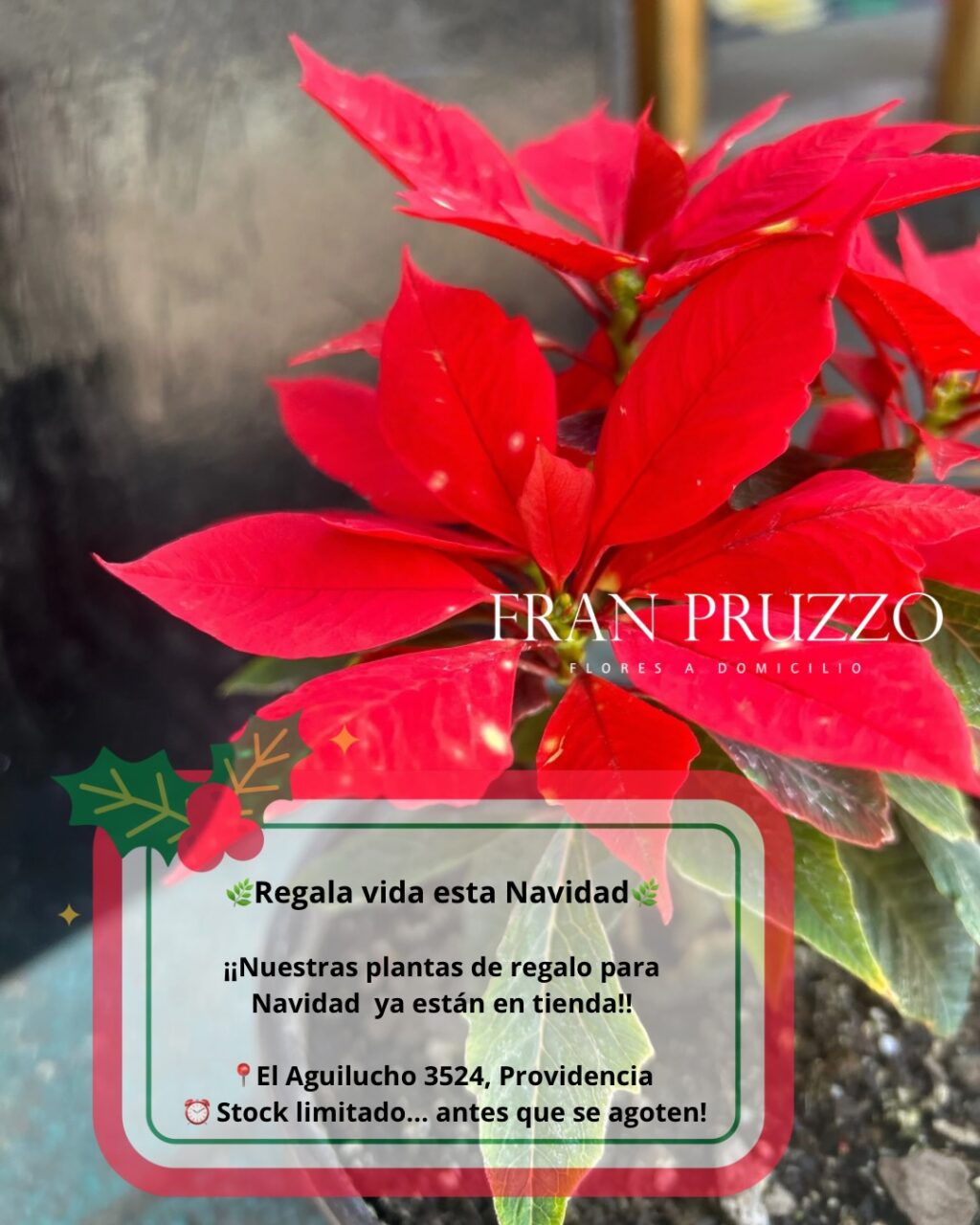 Instagram post from floreria_franpruzzo.cl. This post is in position 0.