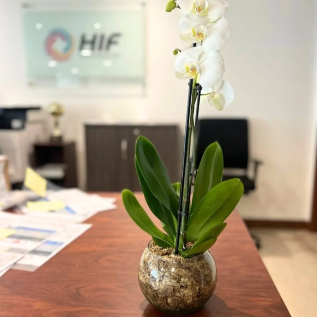 Instagram post from floreria_franpruzzo.cl. This post is in position 3.