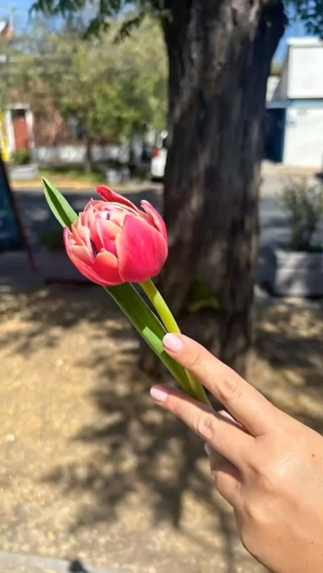 Instagram post from floreria_franpruzzo.cl. This post is in position 3.