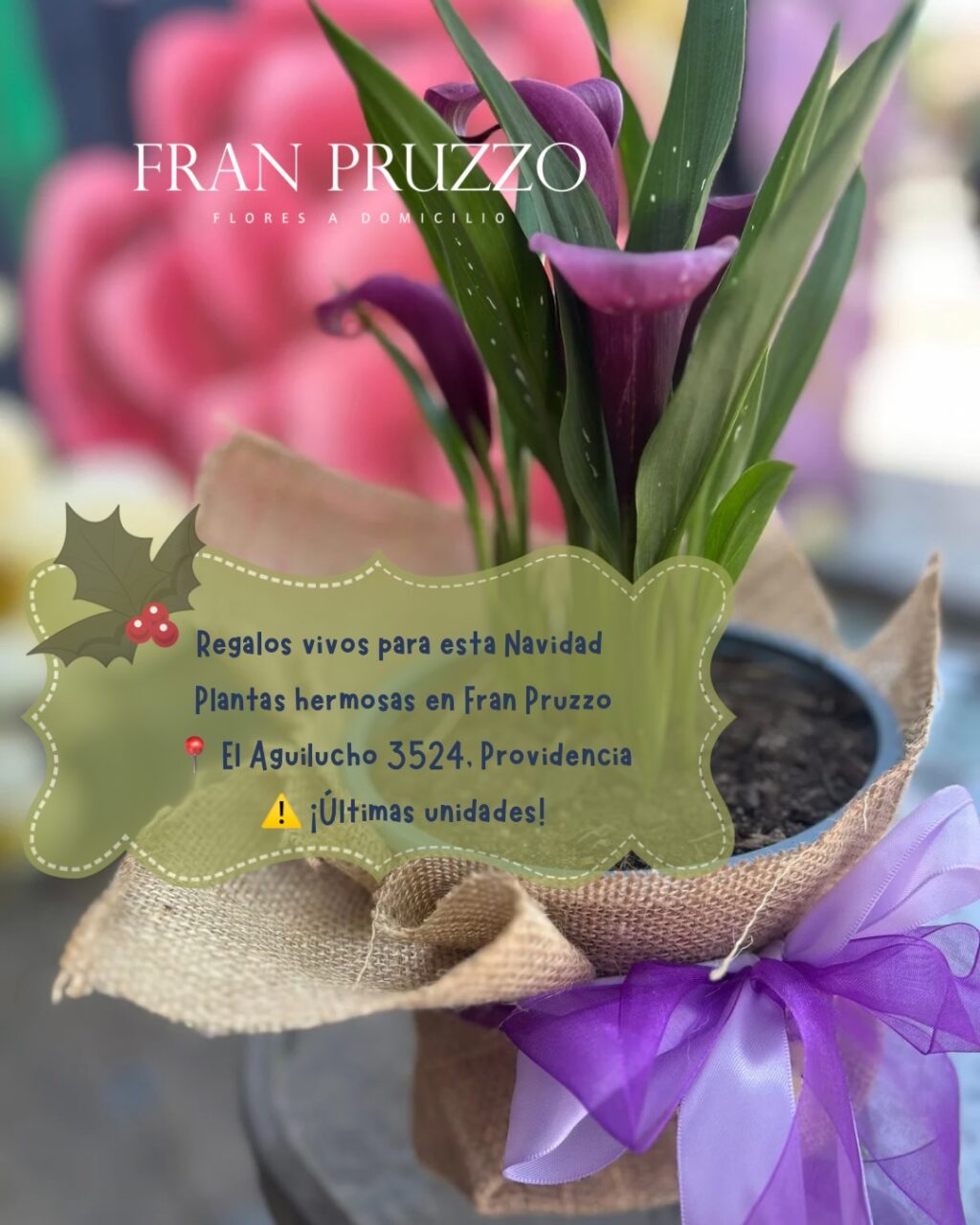 Instagram post from floreria_franpruzzo.cl. This post is in position 2.