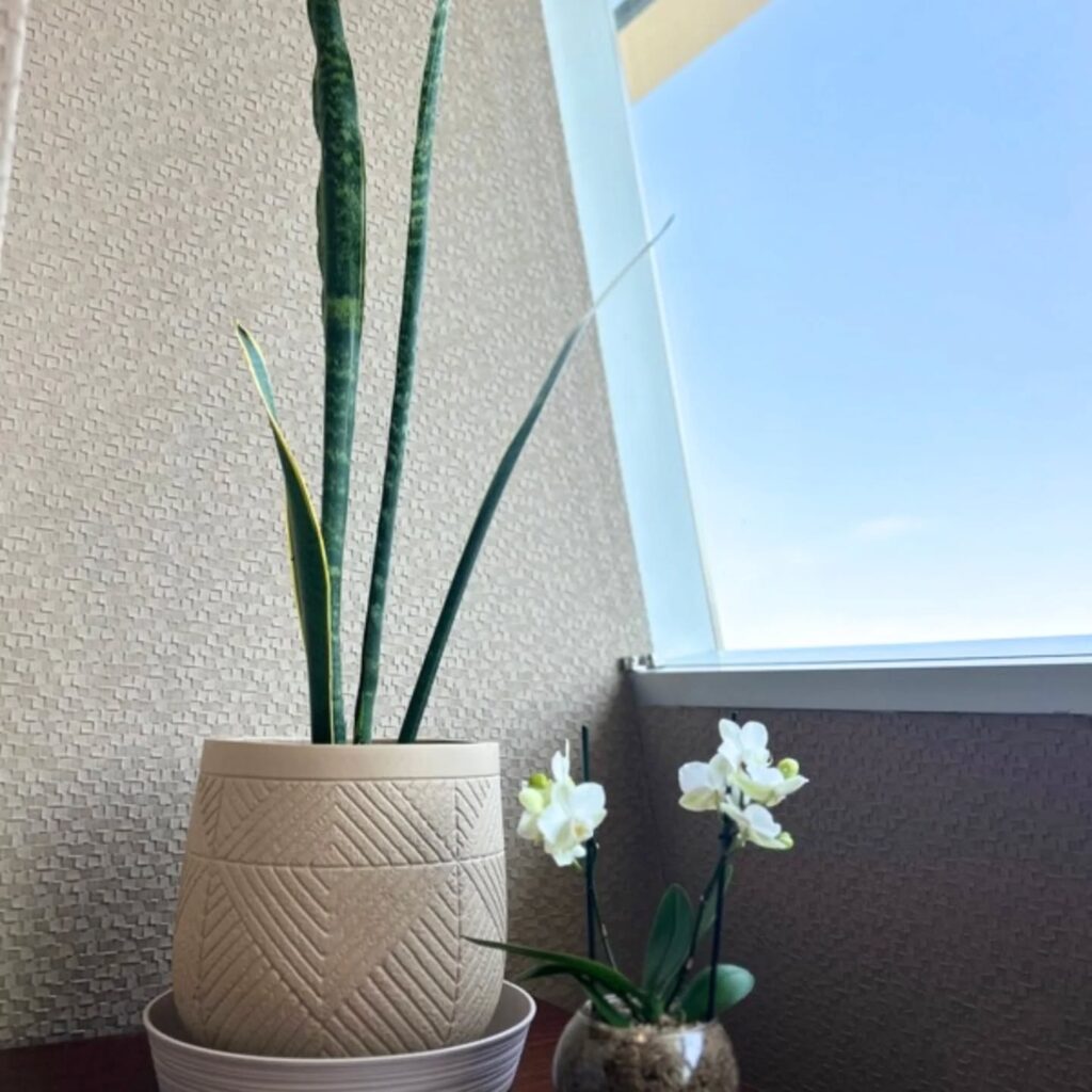 Instagram post from floreria_franpruzzo.cl. This post is in position 6.