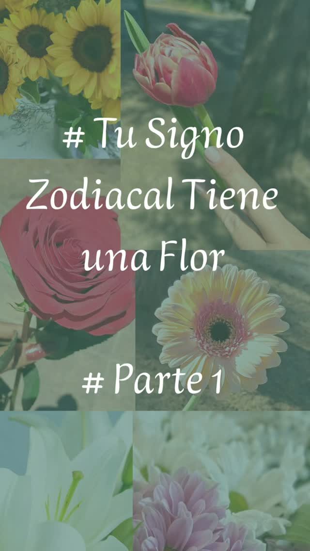 Instagram post from floreria_franpruzzo.cl. This post is in position 2.