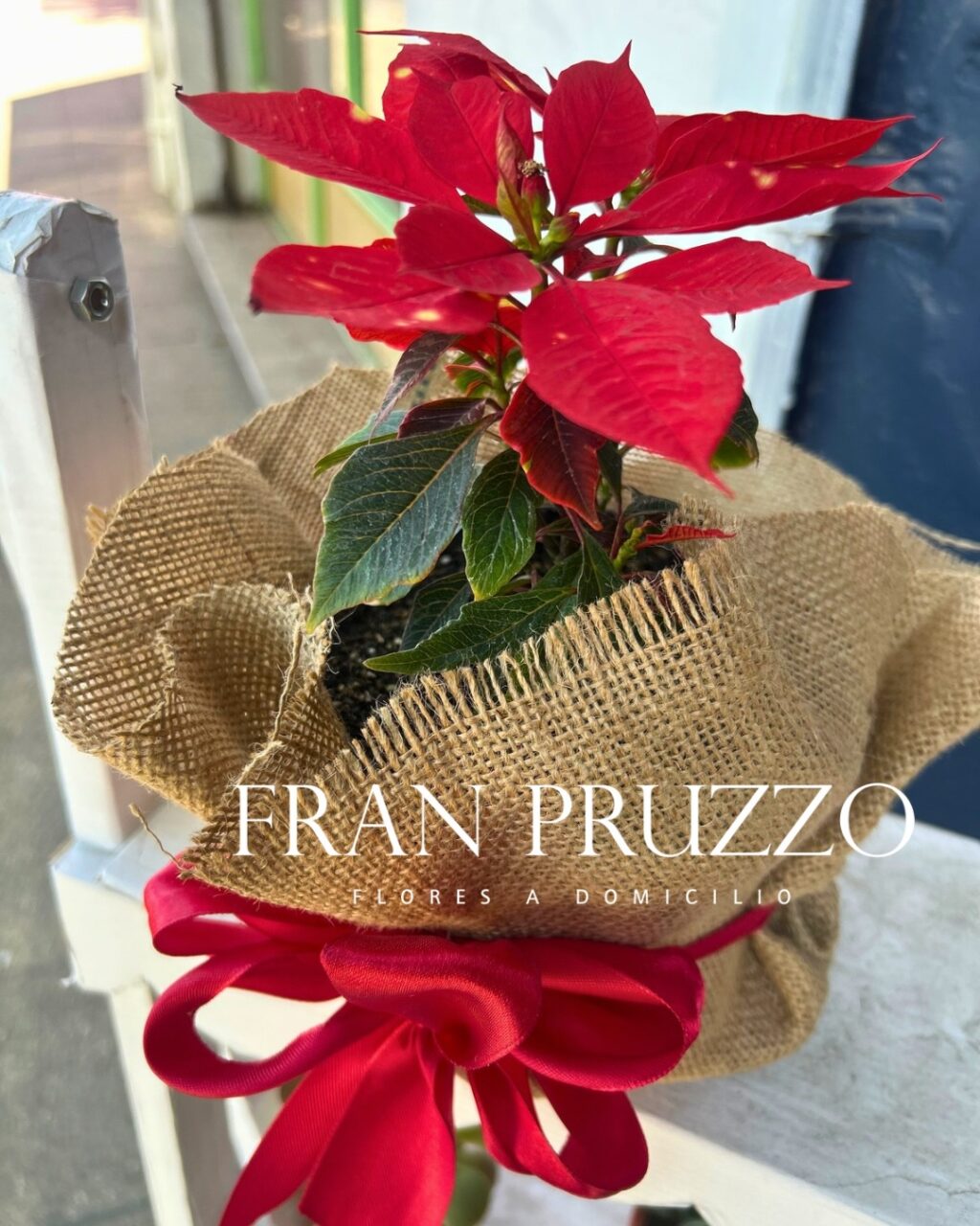 Instagram post from floreria_franpruzzo.cl. This post is in position 1.