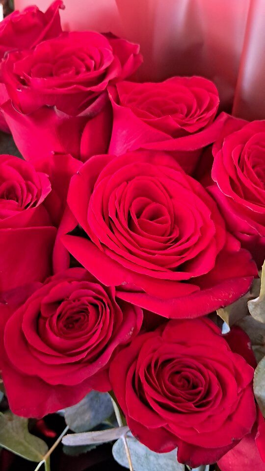 Instagram post from floreria_franpruzzo.cl. This post is in position 2.