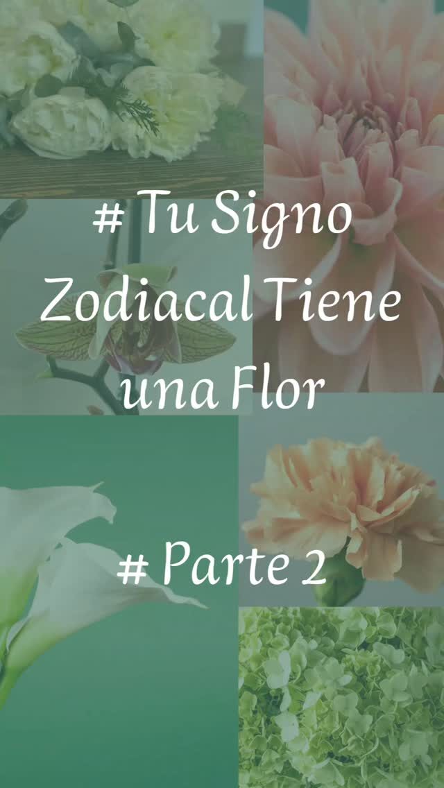 Instagram post from floreria_franpruzzo.cl. This post is in position 1.